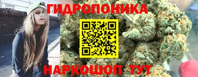 ALPHA-PVP Бийск