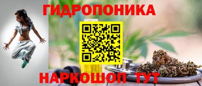 твердый Берёзовский