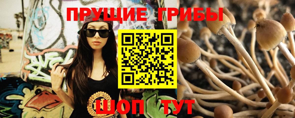 Псилоцибиновые грибы ЛСД Карачаевск