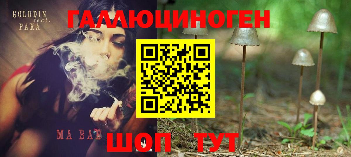 Карачаевск  Псилоцибиновые грибы мицелий  Вход с VPN 